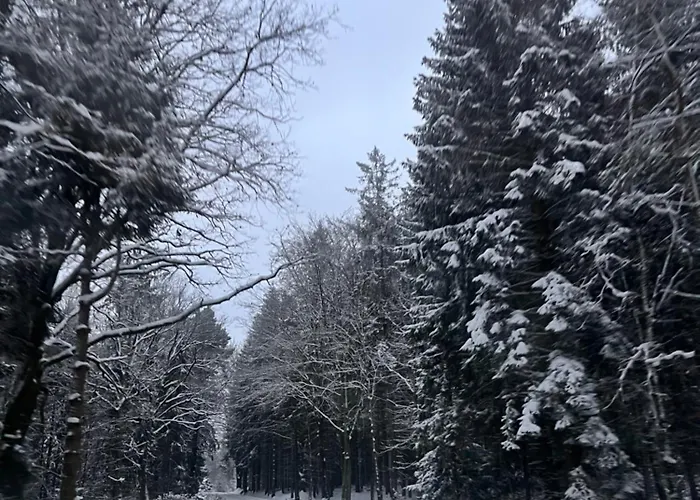 27 Hřensko